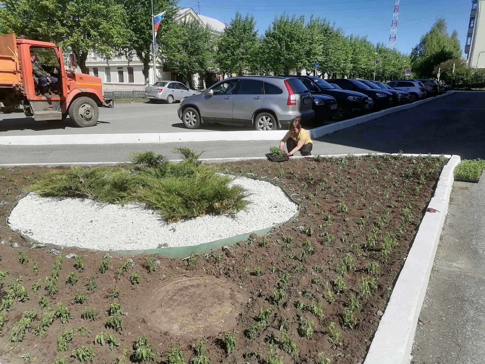 Городское хозяйство. Клумбы для городского озеленения. Клумба на работе. Городская клумба лилии.