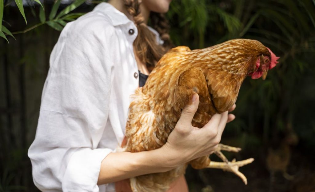 фото: freepik.com